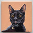 Painting of a black cat with orange eyes on a peach background