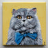Painting of a cat with a blue bow tie on a yellow background