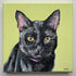 Painting of a black cat with yellow eyes on a green background
