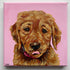 Painting of a brown dog on a pink background