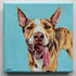 Painting of a dog with a blue background