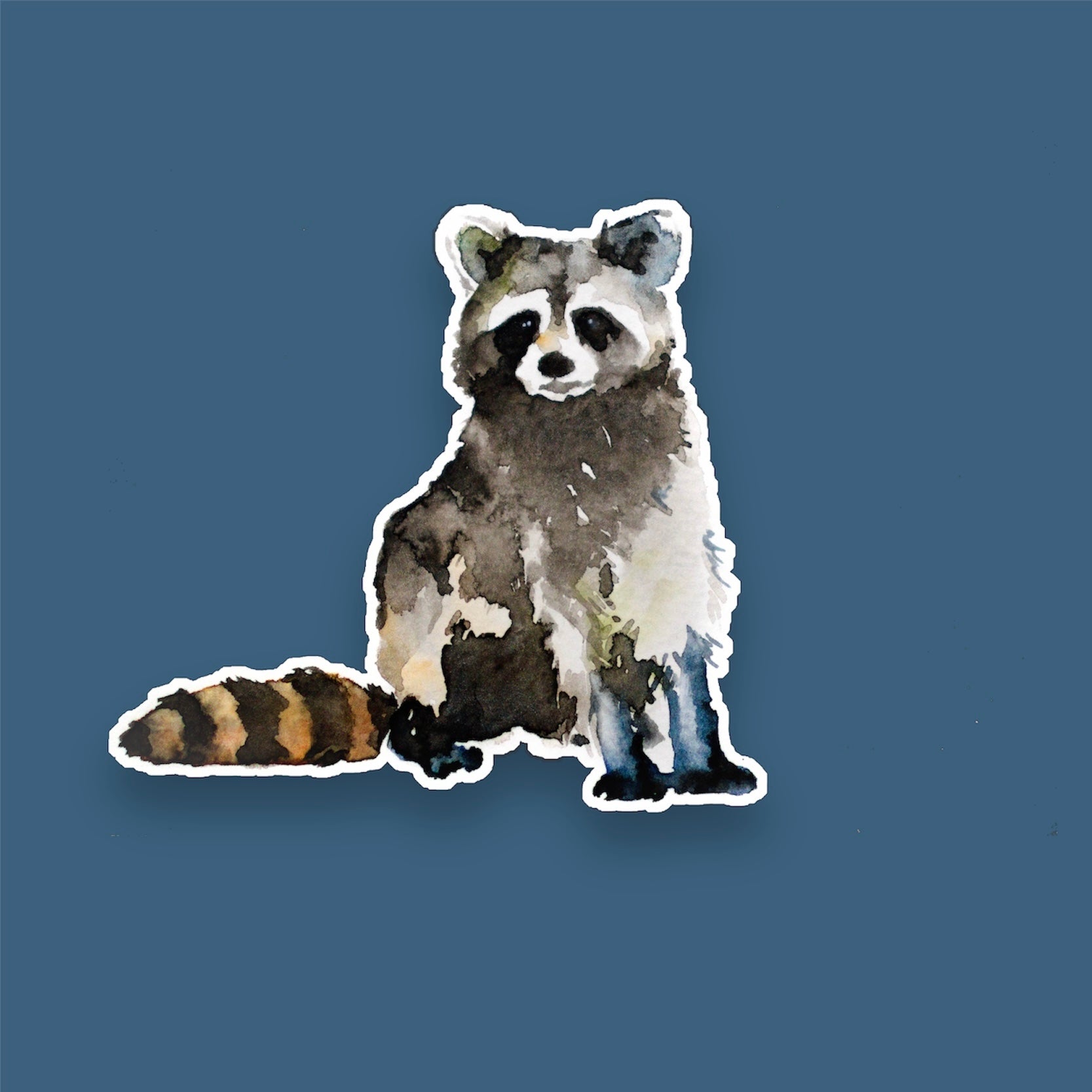 Raccoon sticker