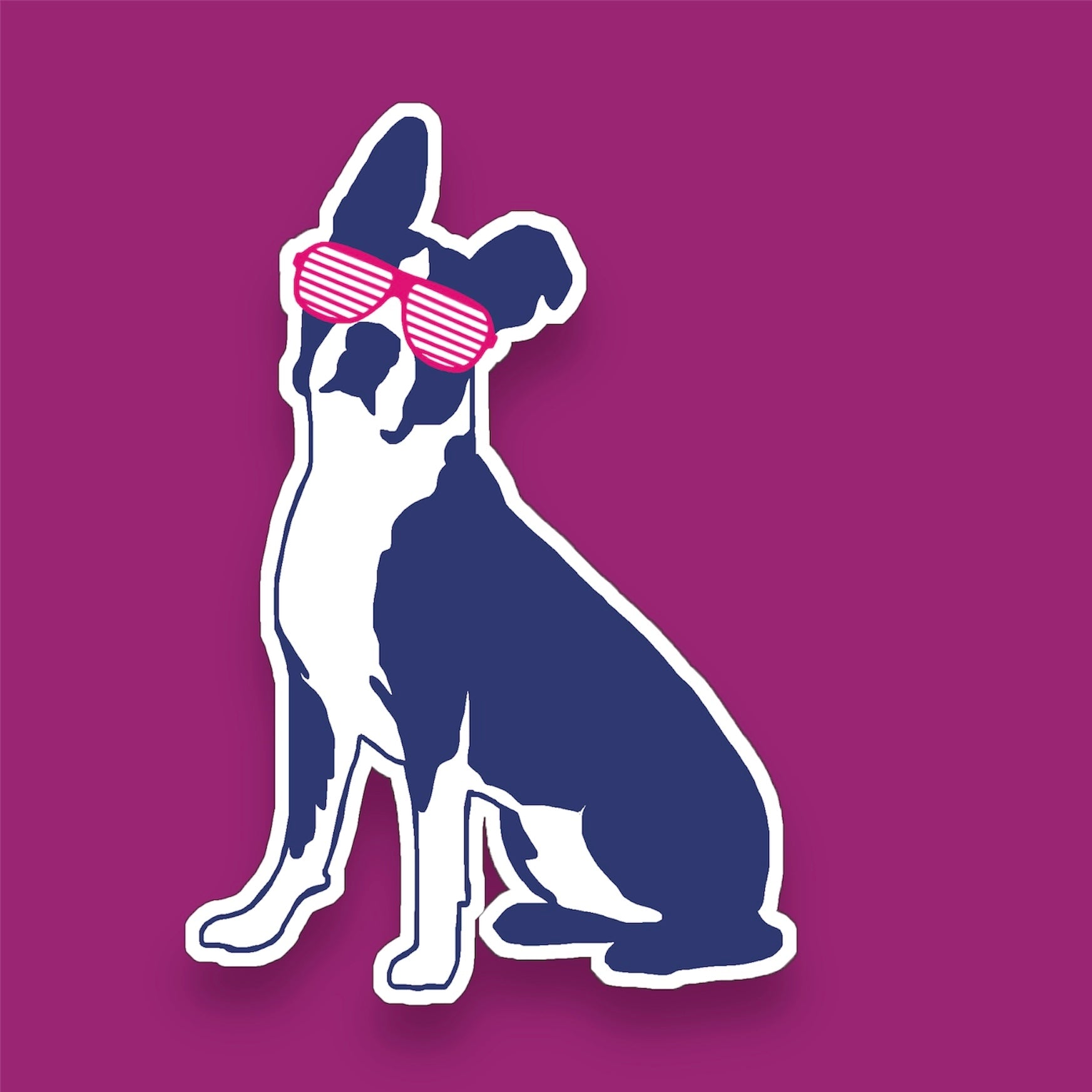 Boston terrier wearing shutter glasses sticker