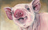 Acrylic Painting of a pig with a soft focus background