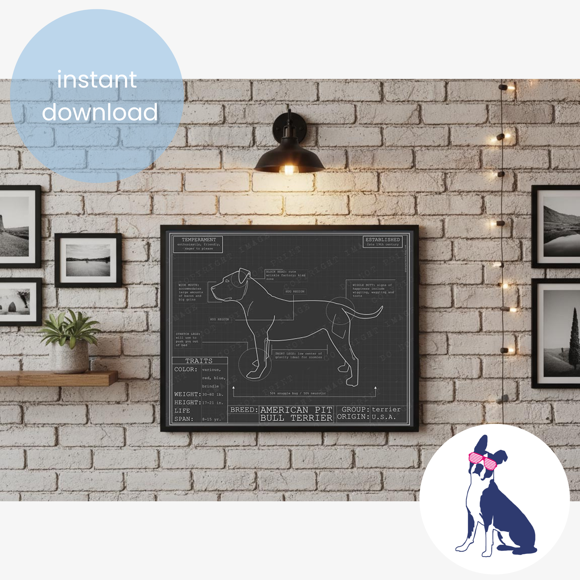 Downloadable pit bull dog breed blueprint artwork