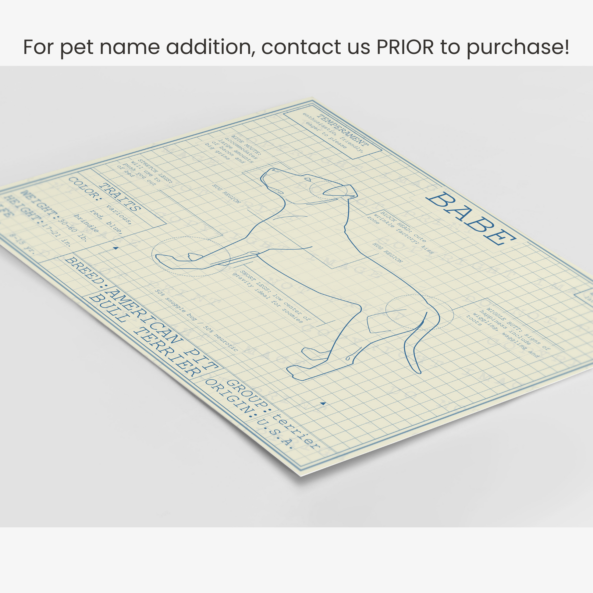 Downloadable pit bull dog breed blueprint artwork