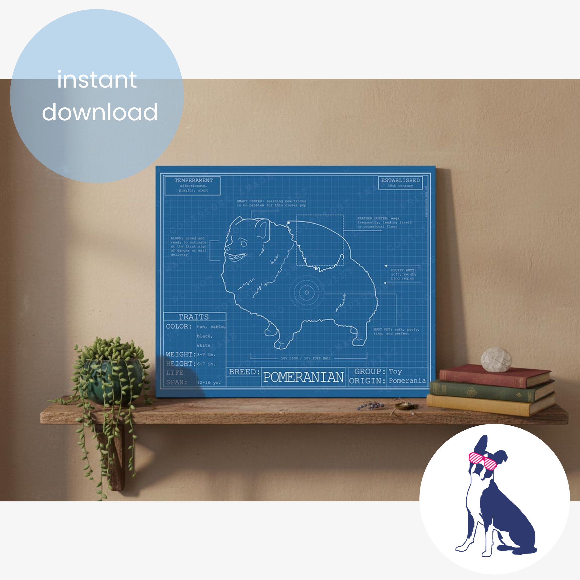 Downloadable Pomeranian dog breed blueprint artwork