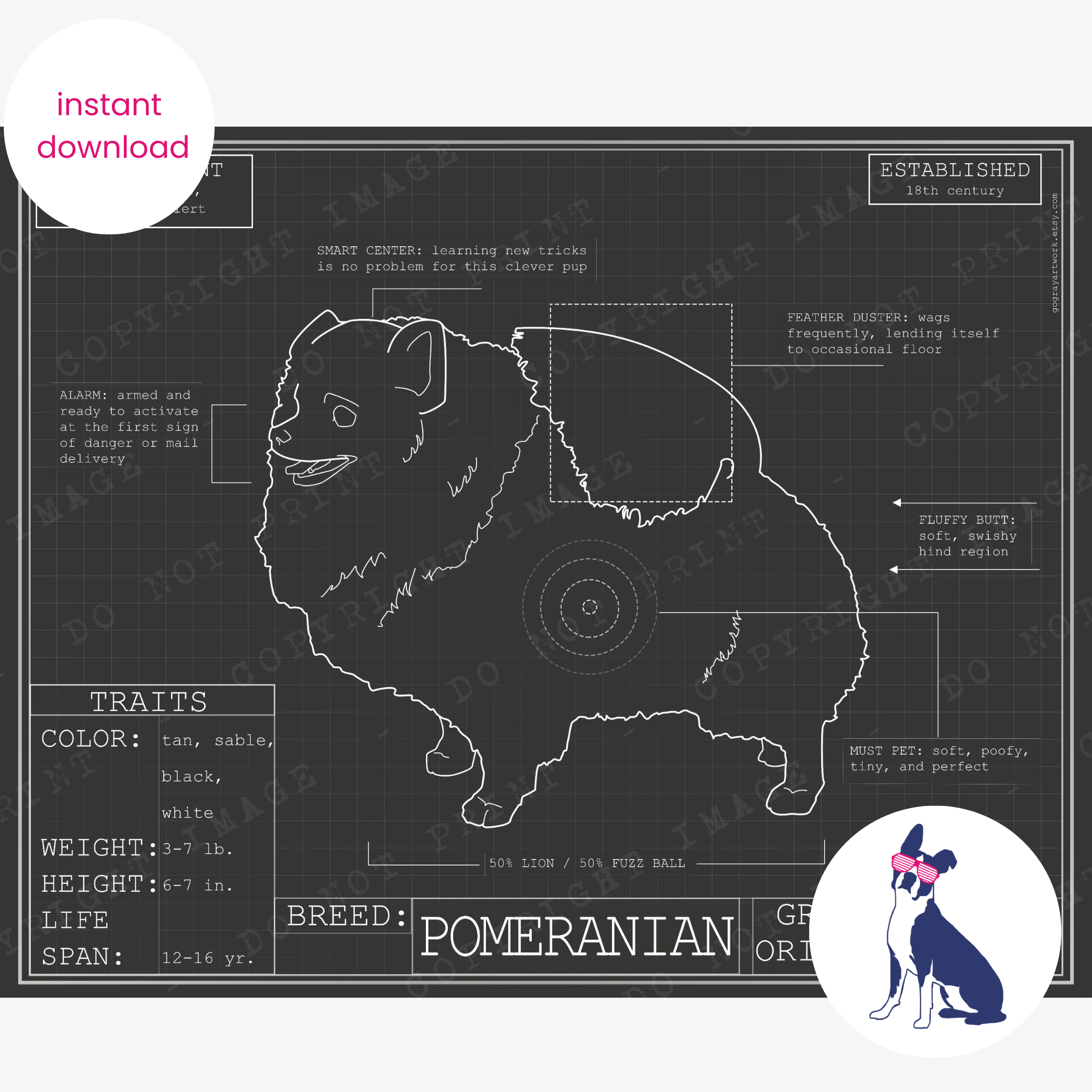 Downloadable Pomeranian dog breed blueprint artwork