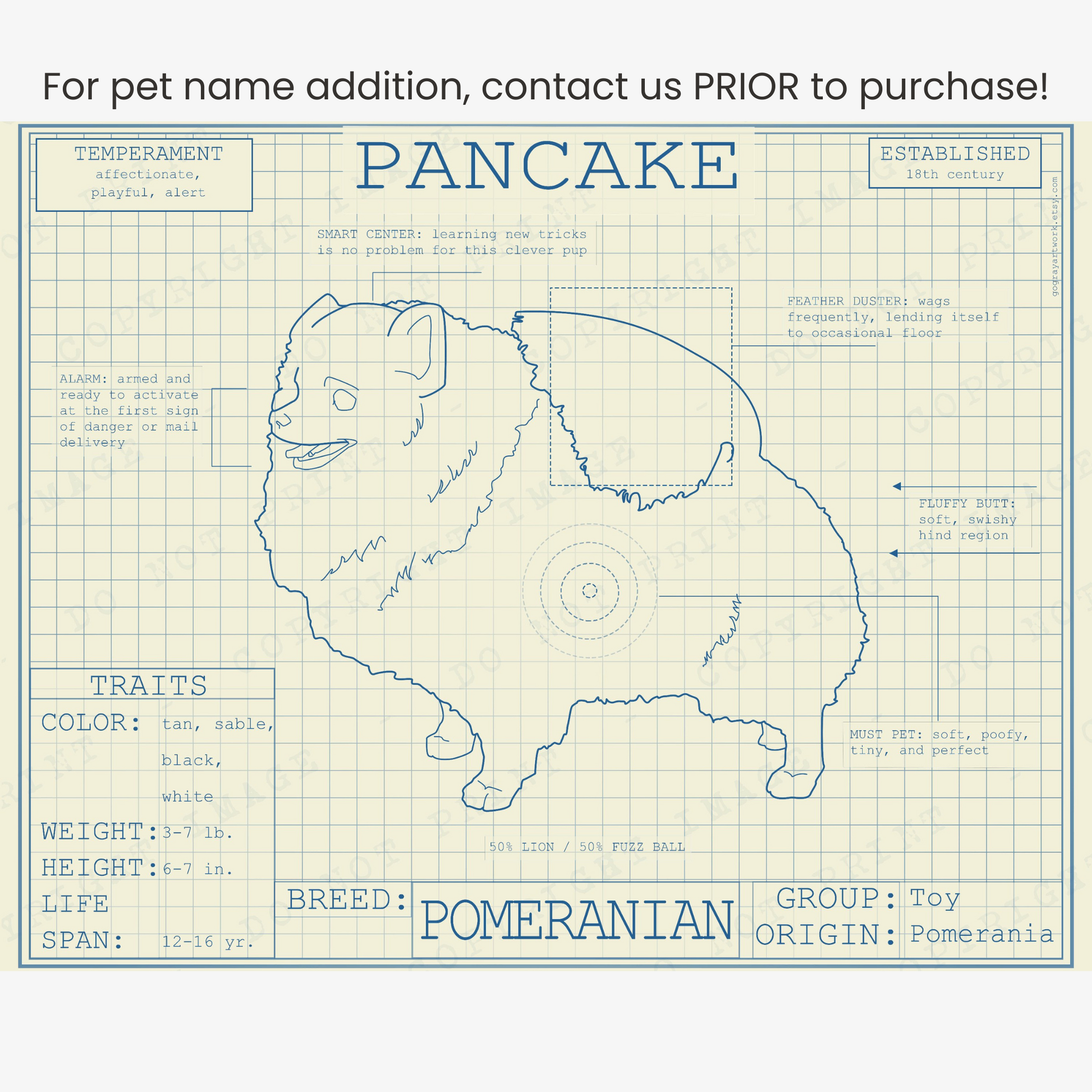 Downloadable Pomeranian dog breed blueprint artwork