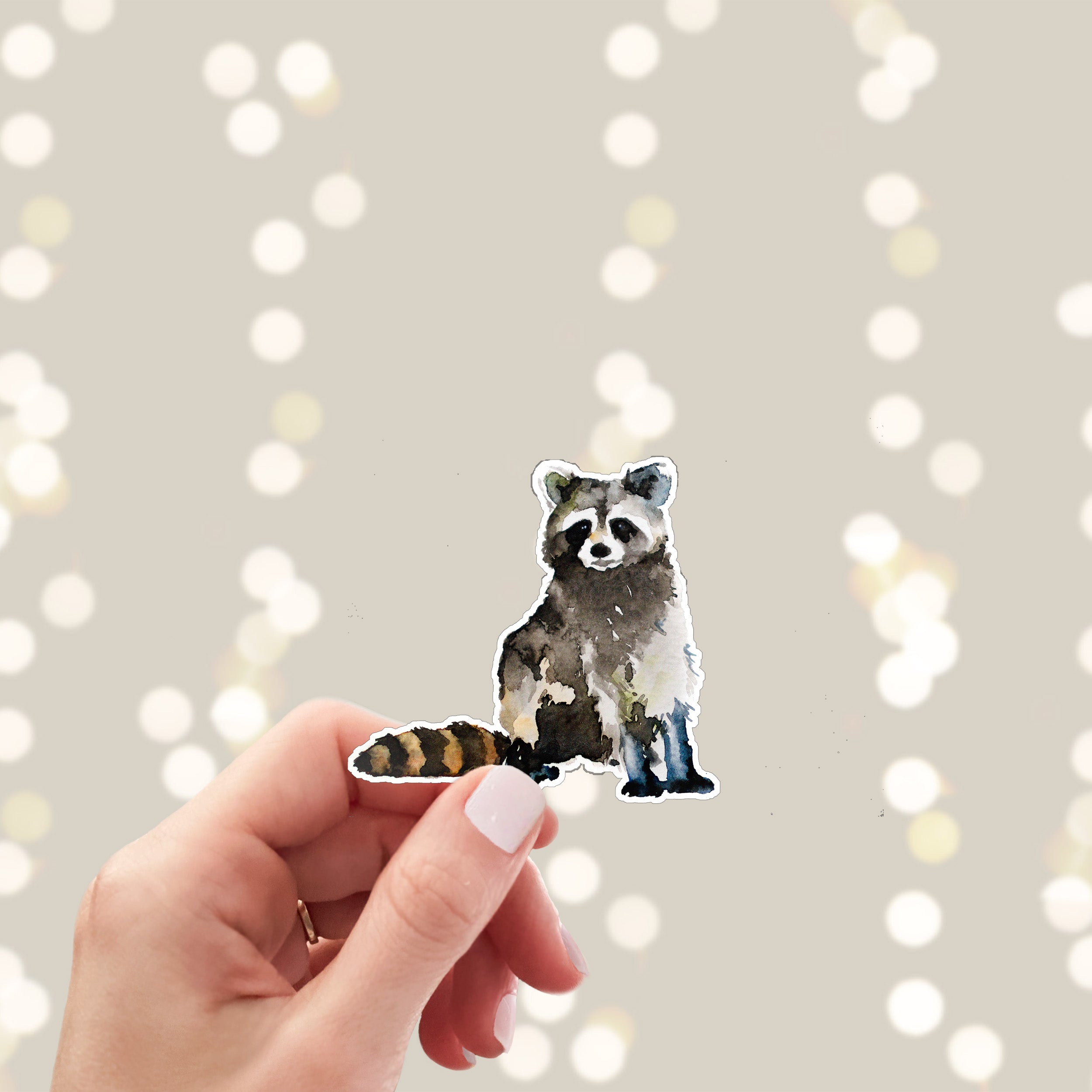 Raccoon sticker