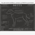 Downloadable Rhodesian Ridgeback dog breed blueprint artwork