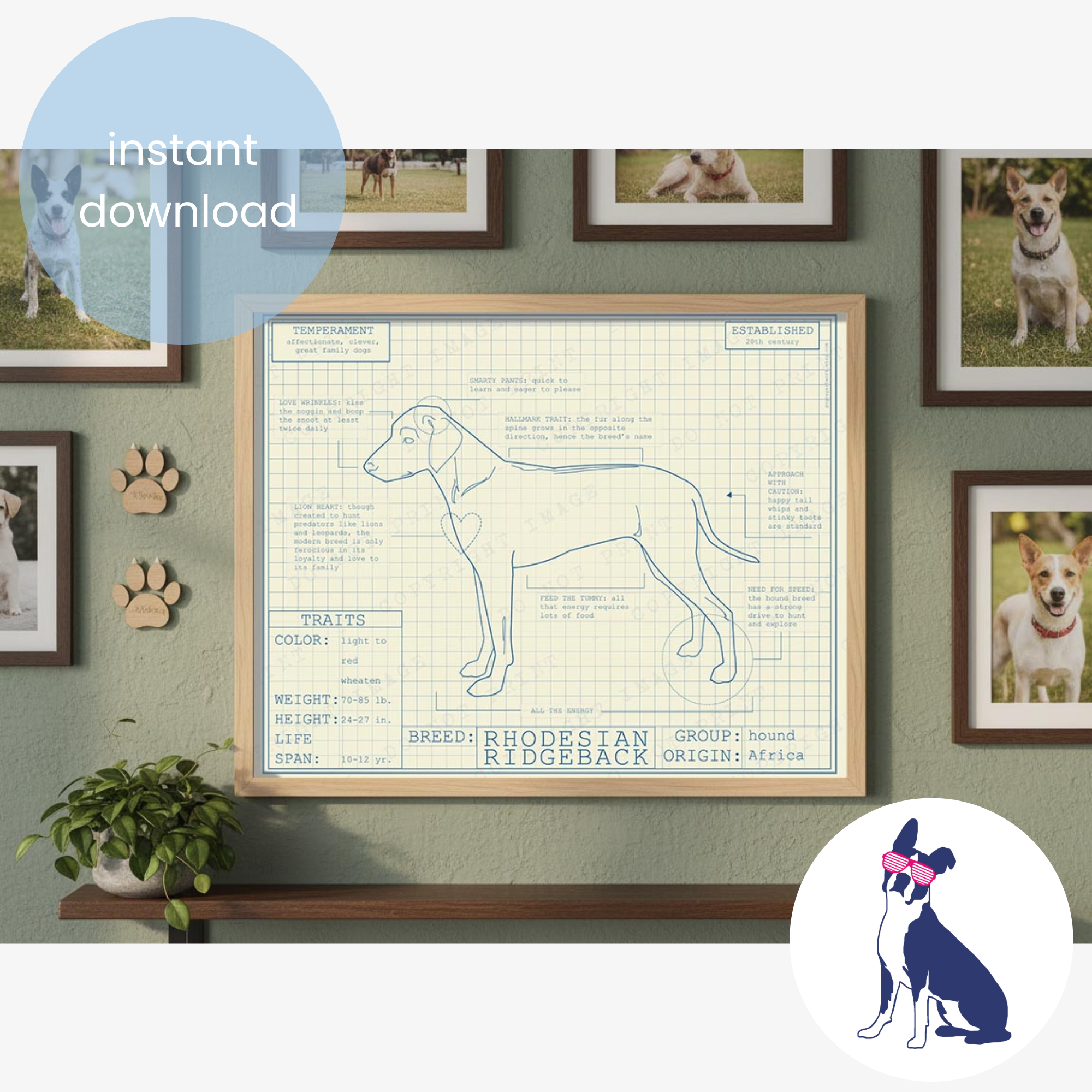 Downloadable Rhodesian Ridgeback dog breed blueprint artwork