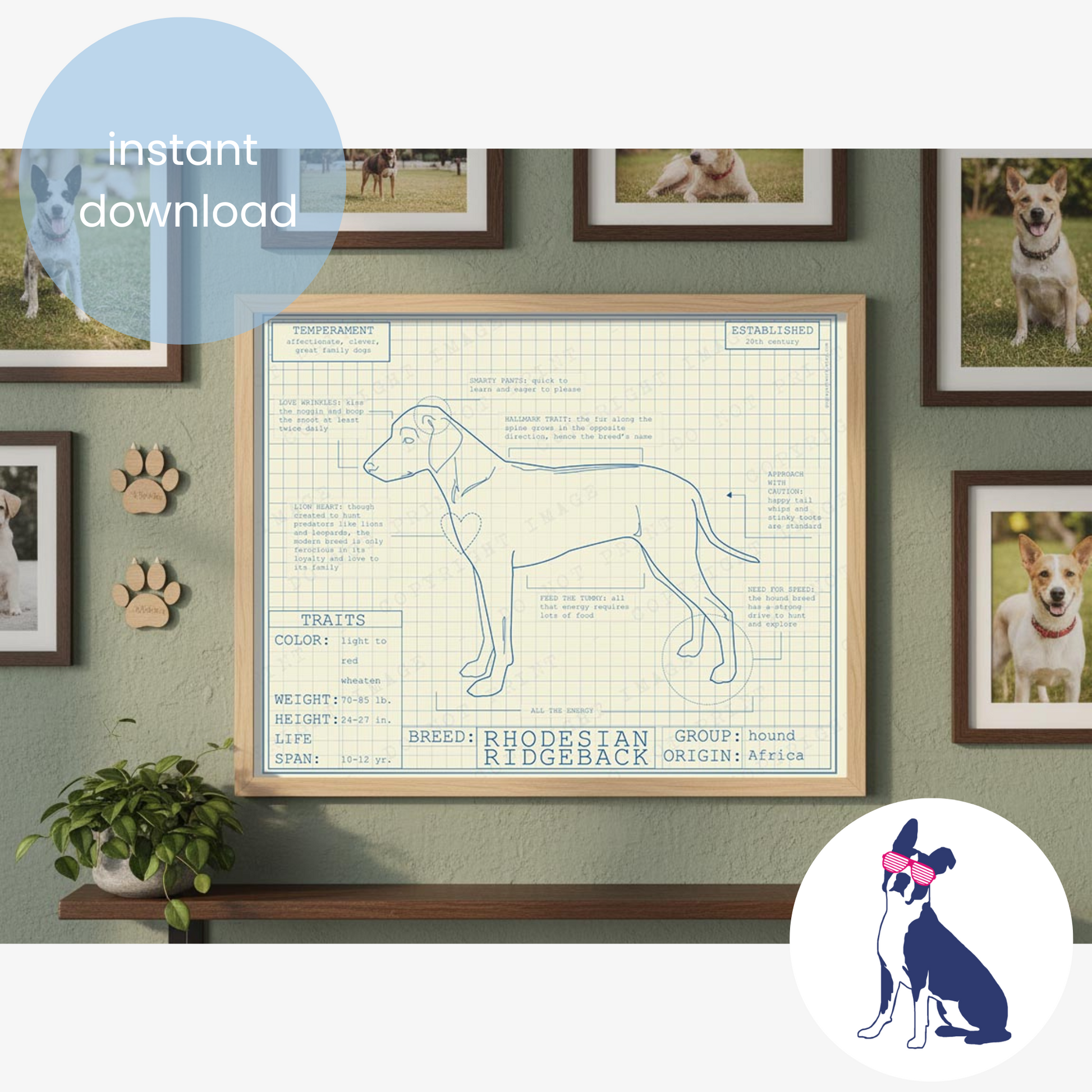 Downloadable Rhodesian Ridgeback dog breed blueprint artwork
