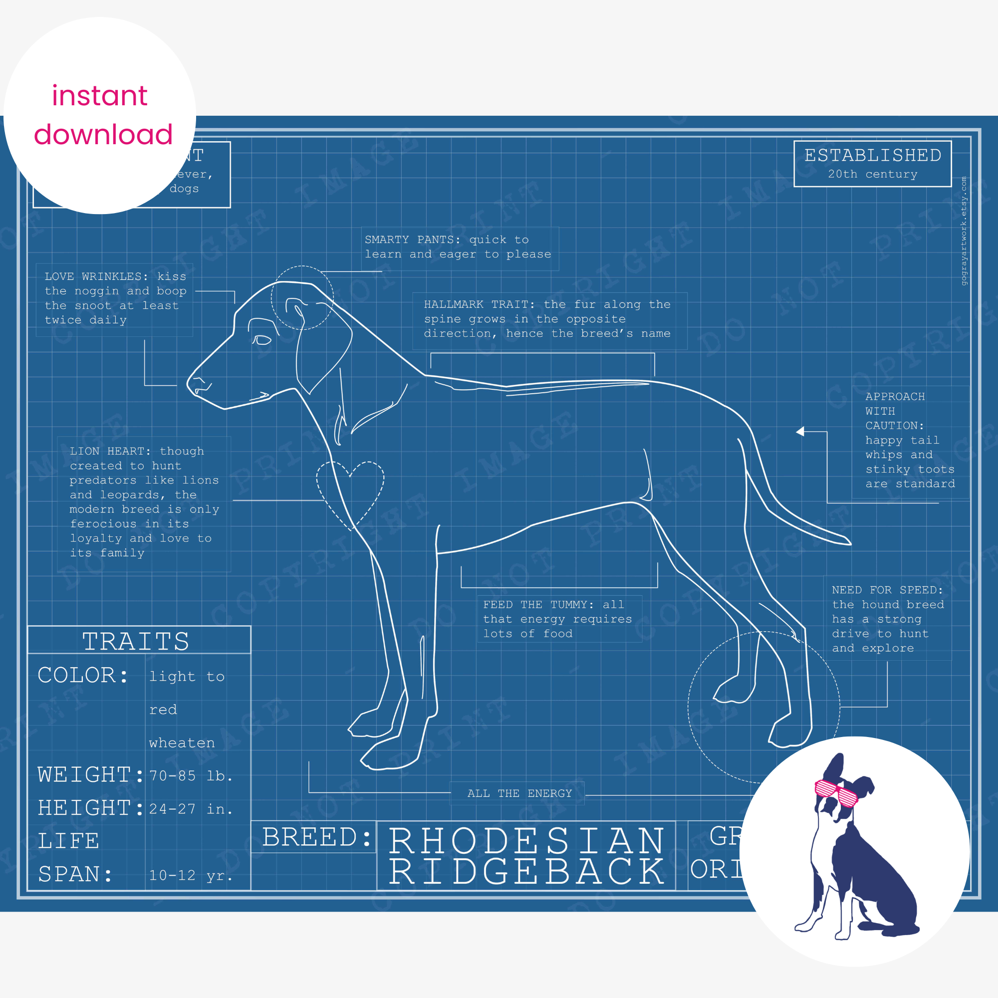 Downloadable Rhodesian Ridgeback dog breed blueprint artwork