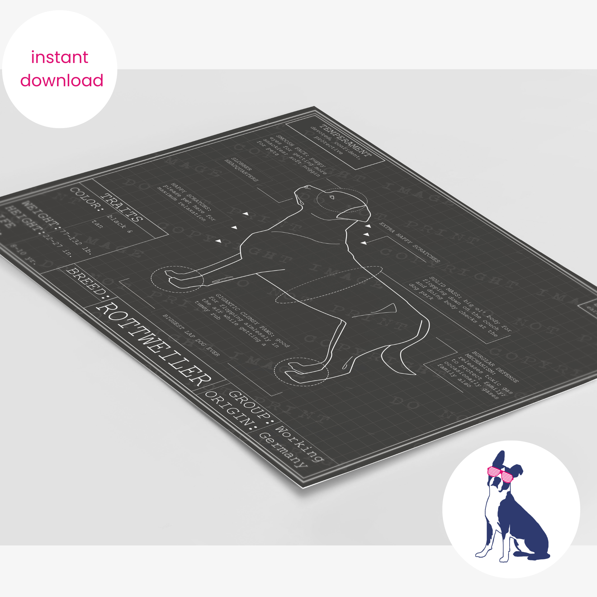 Downloadable Rottweiler dog breed blueprint artwork