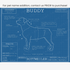 Downloadable Rottweiler dog breed blueprint artwork