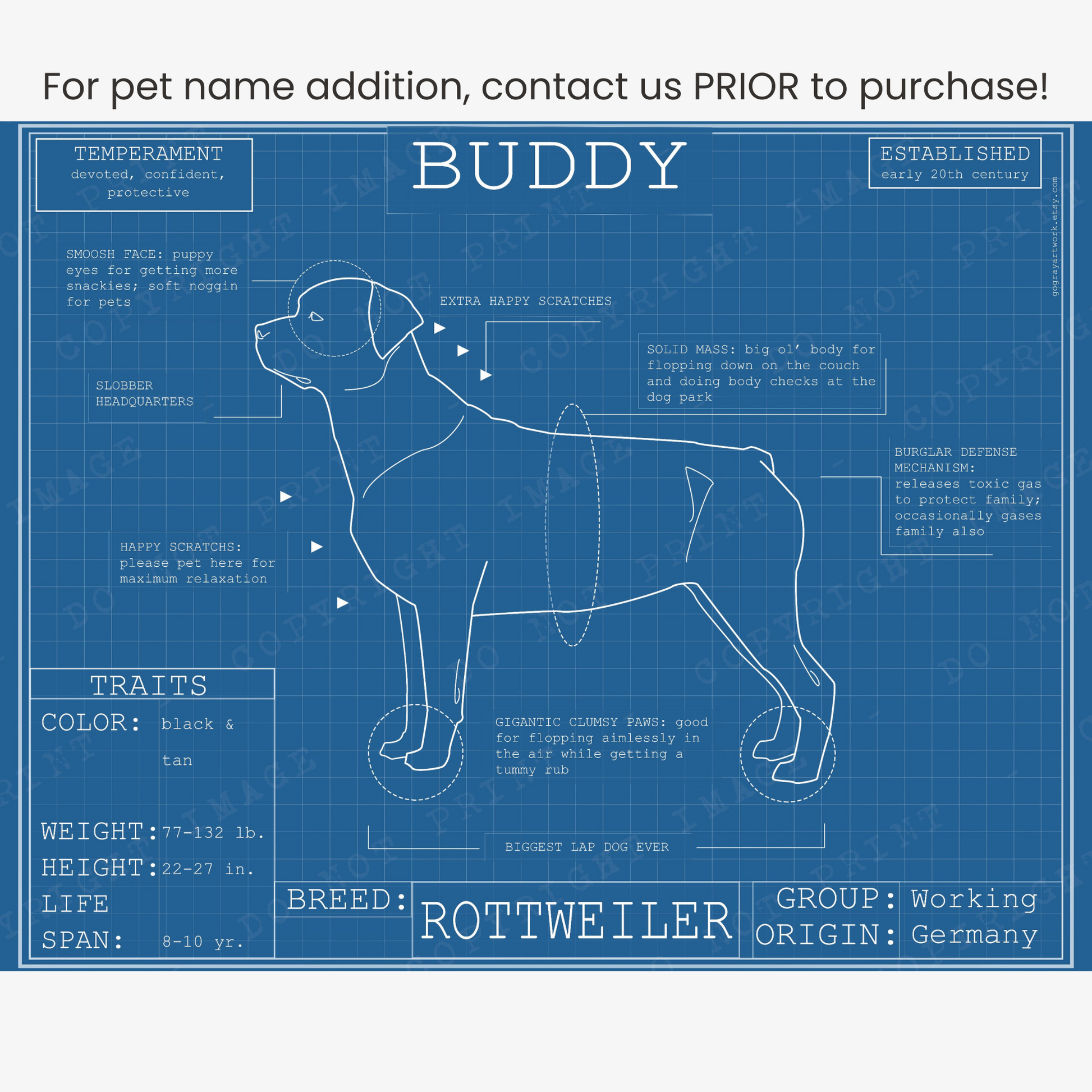 Downloadable Rottweiler dog breed blueprint artwork
