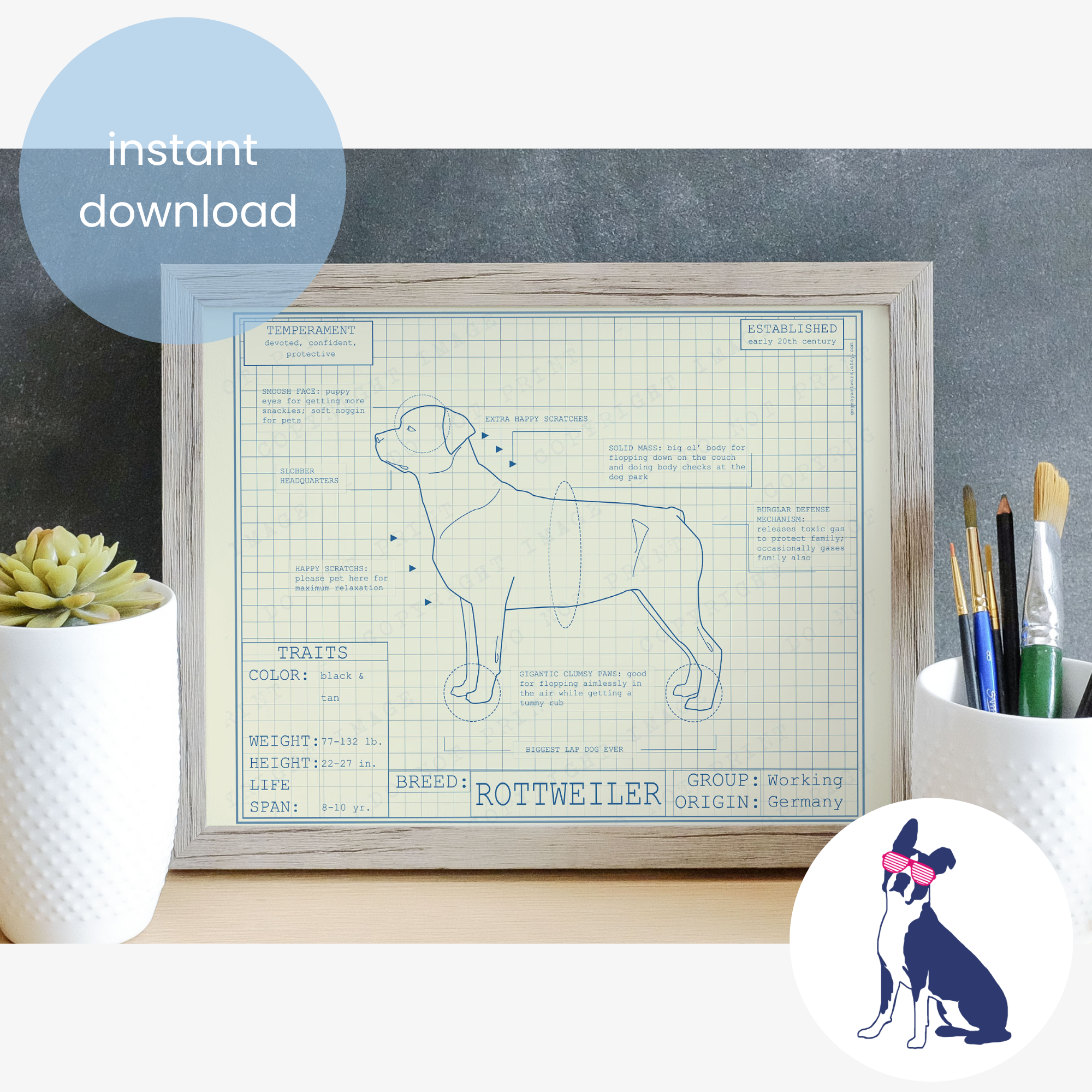 Downloadable Rottweiler dog breed blueprint artwork