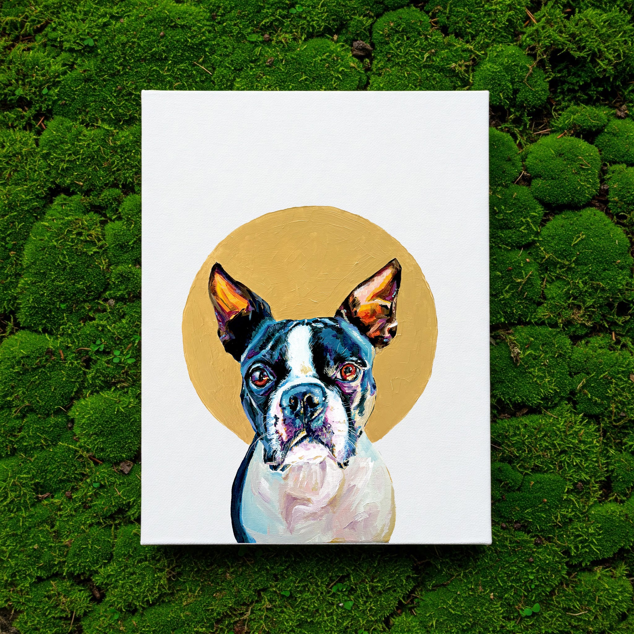 Canvas print of a Boston terrier with a gold halo circle