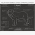 Downloadable Saint Bernard dog breed blueprint artwork