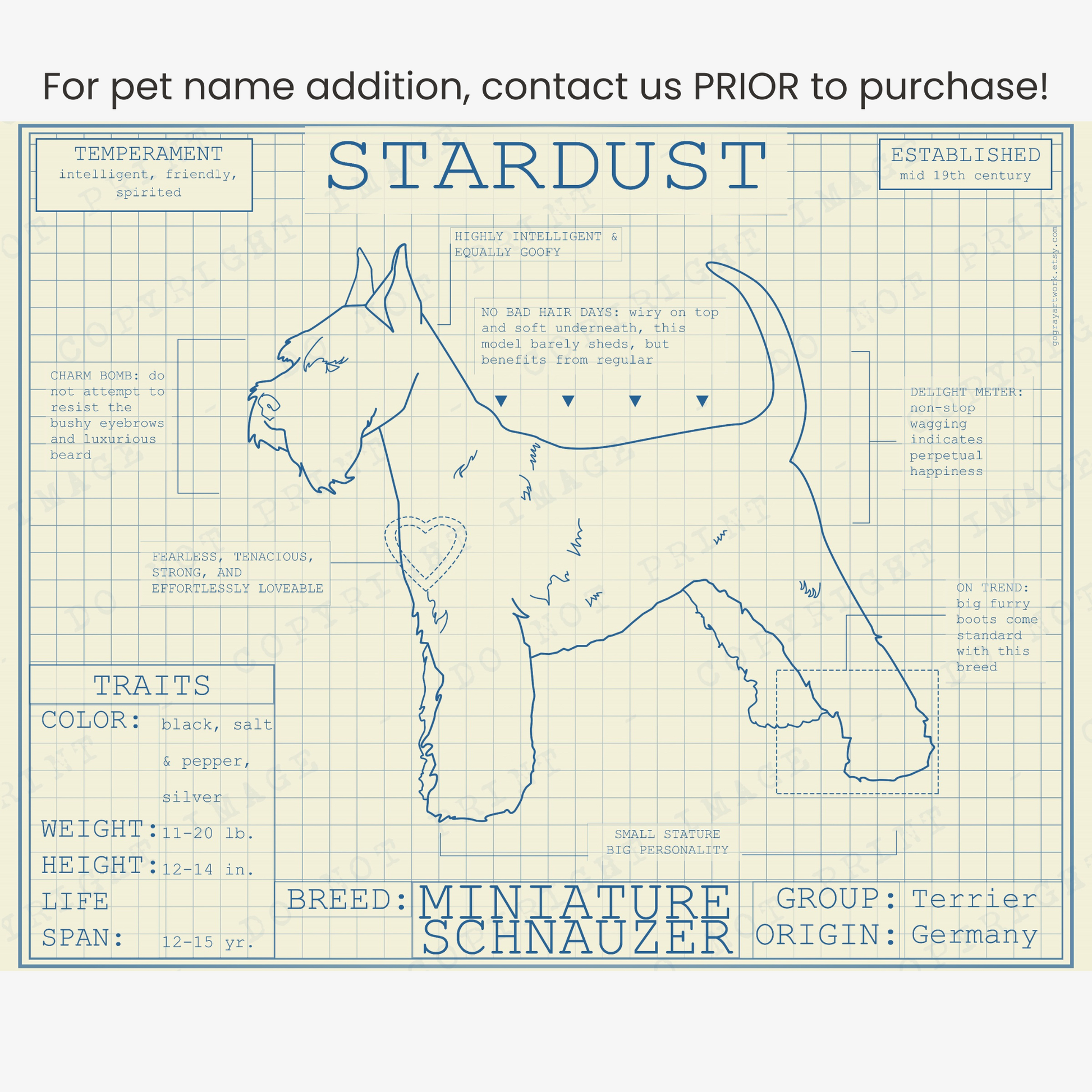 Downloadable miniature schnauzer dog breed blueprint artwork