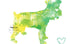 Colorful watercolor silhouette print of a schnauzer