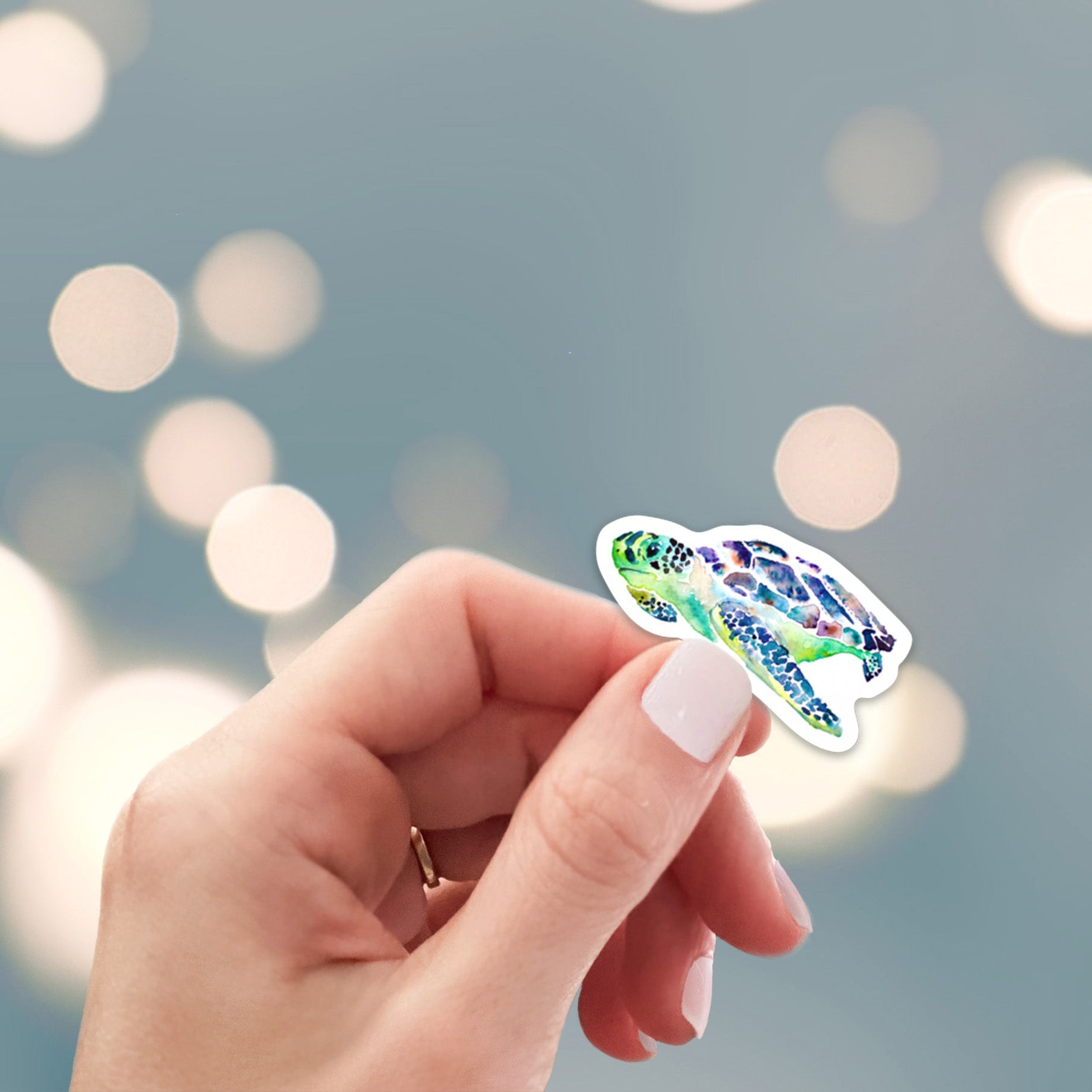 Loggerhead sea turtle sticker