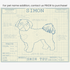 Downloadable Shih Tzu dog breed blueprint artwork