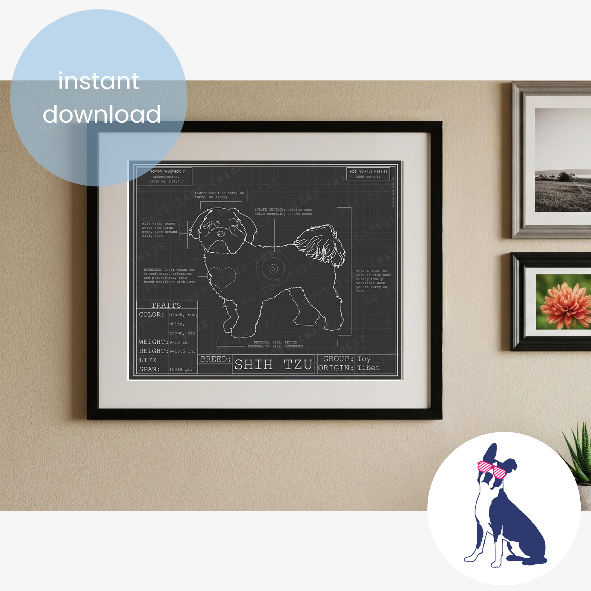 Downloadable Shih Tzu dog breed blueprint artwork