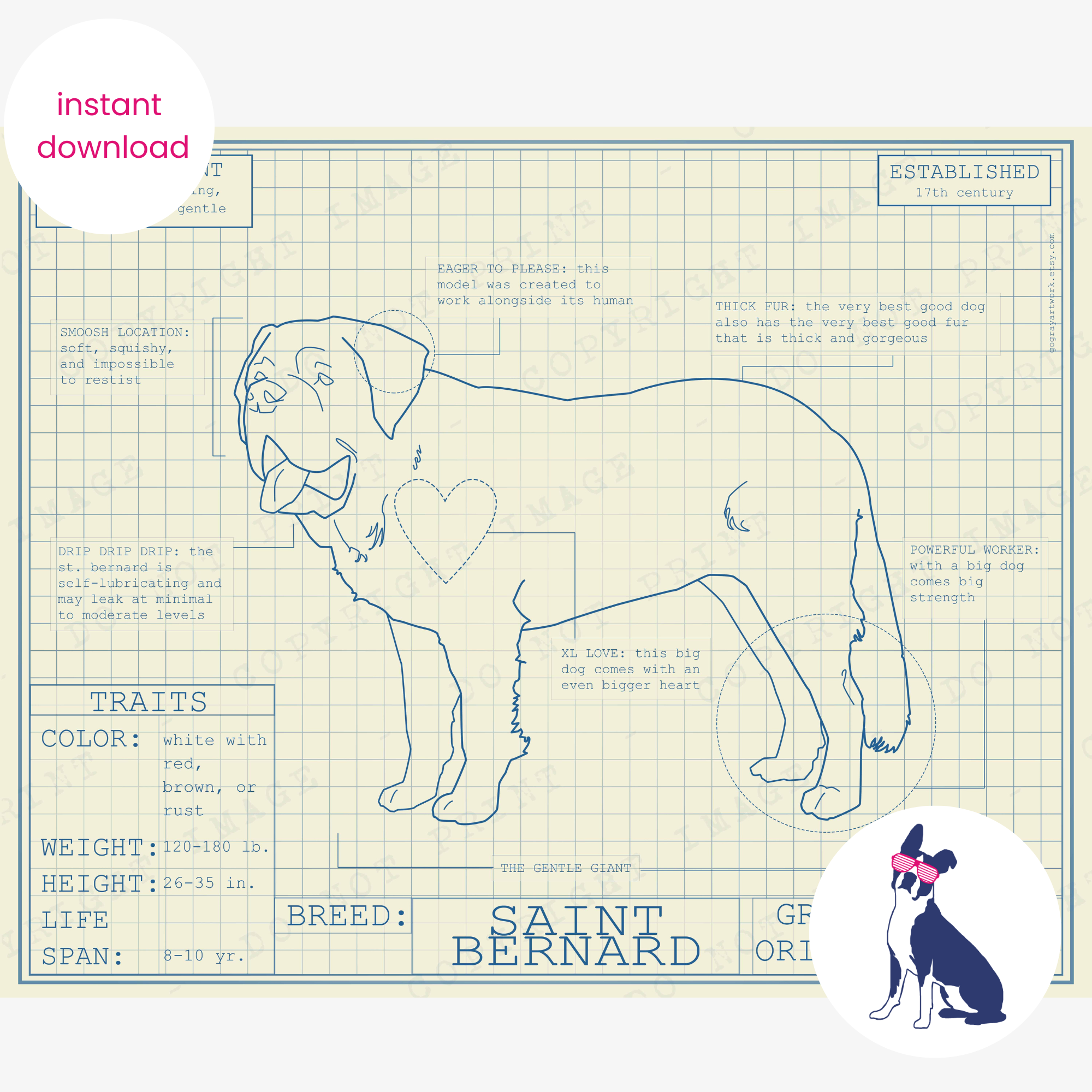 Downloadable Saint Bernard dog breed blueprint artwork