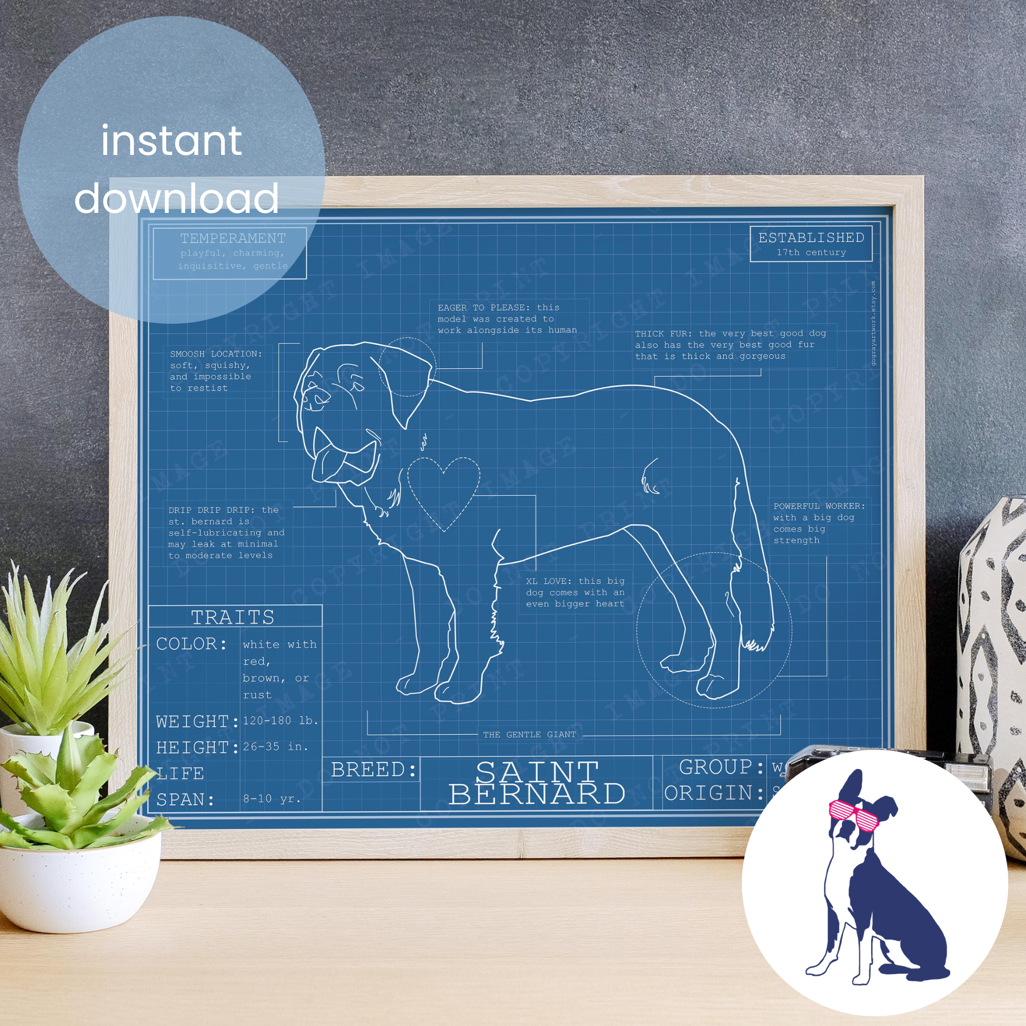 Downloadable Saint Bernard dog breed blueprint artwork
