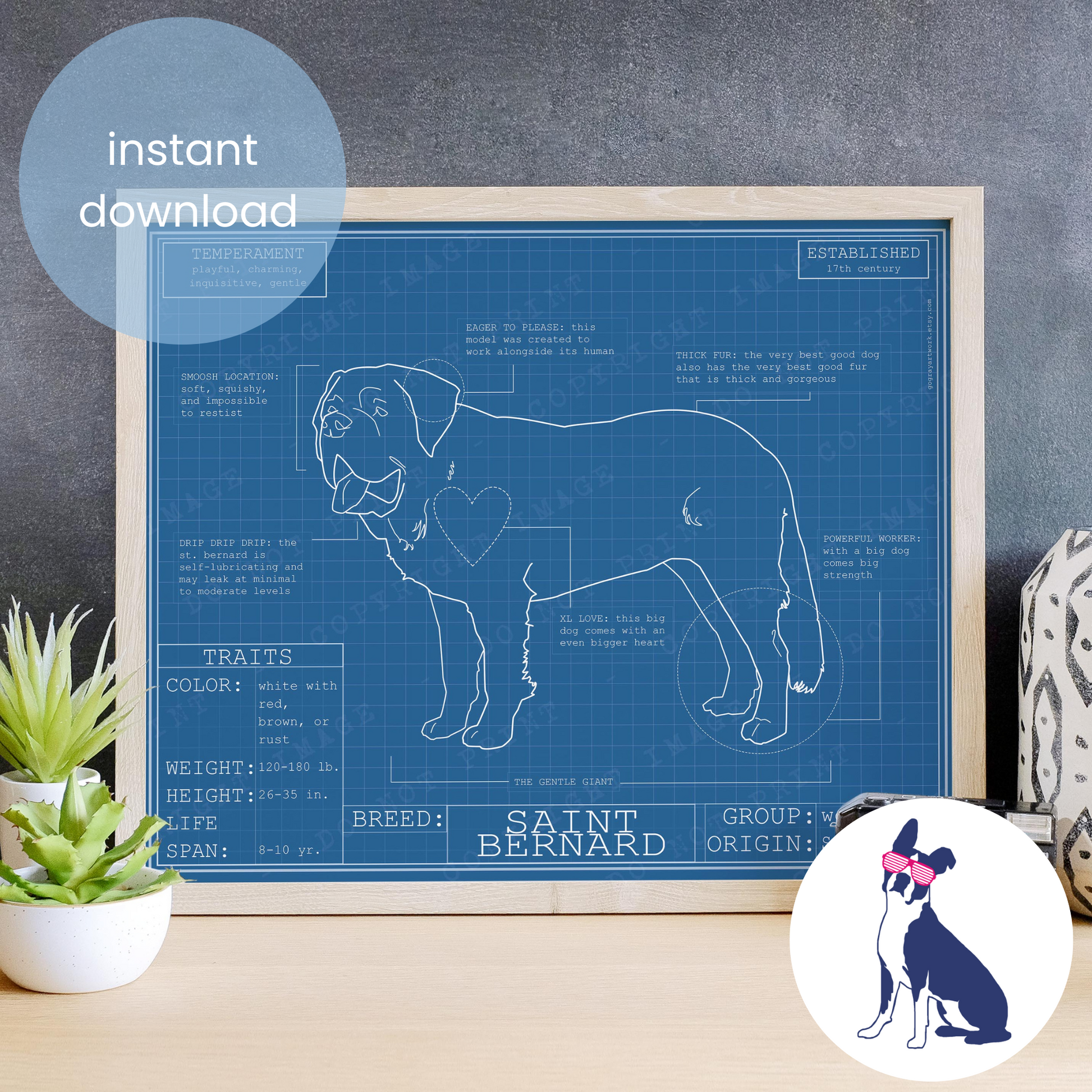 Downloadable Saint Bernard dog breed blueprint artwork