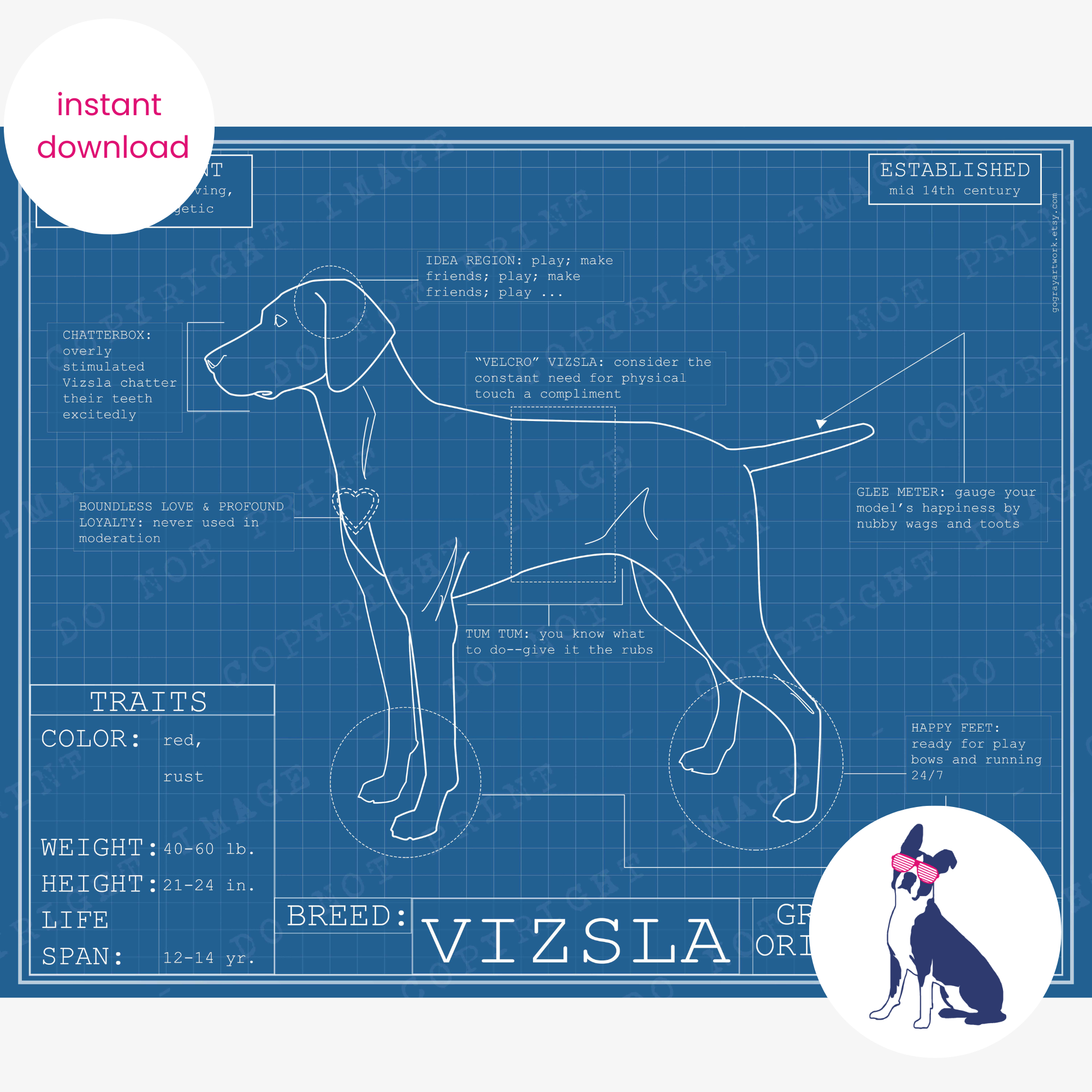Downloadable Vizsla dog breed blueprint artwork