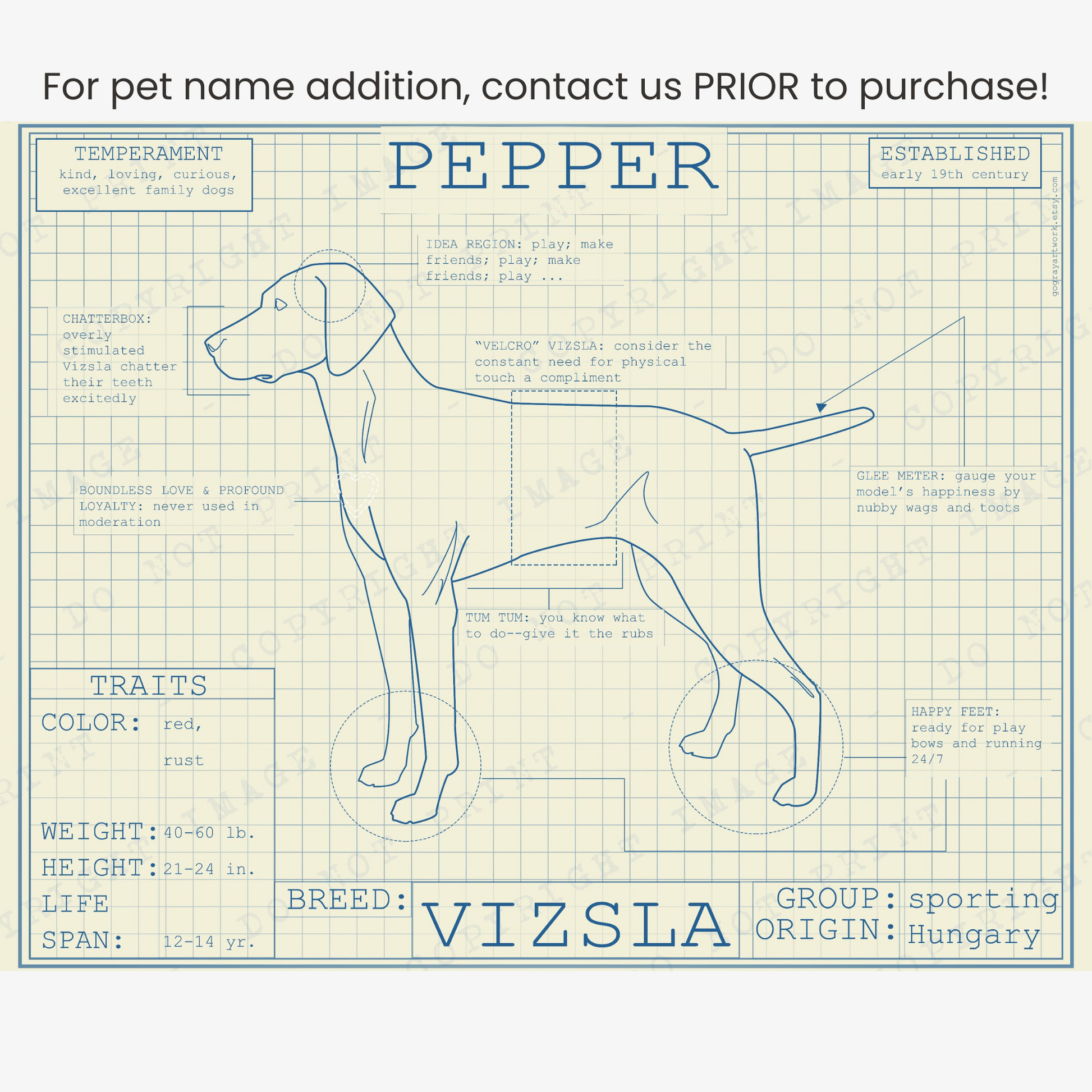 Downloadable Vizsla dog breed blueprint artwork