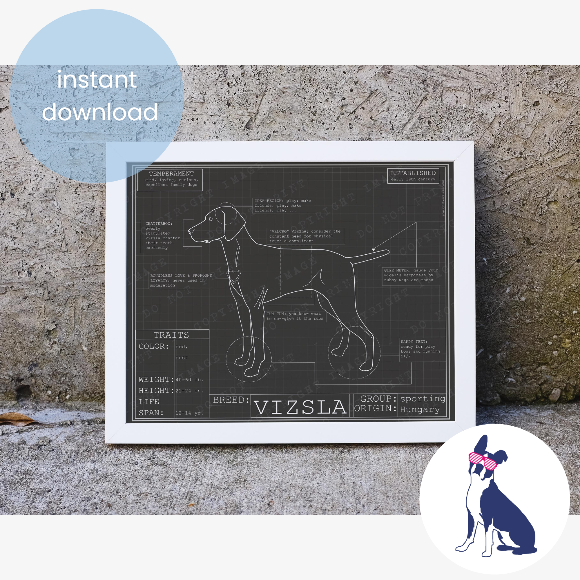 Downloadable Vizsla dog breed blueprint artwork