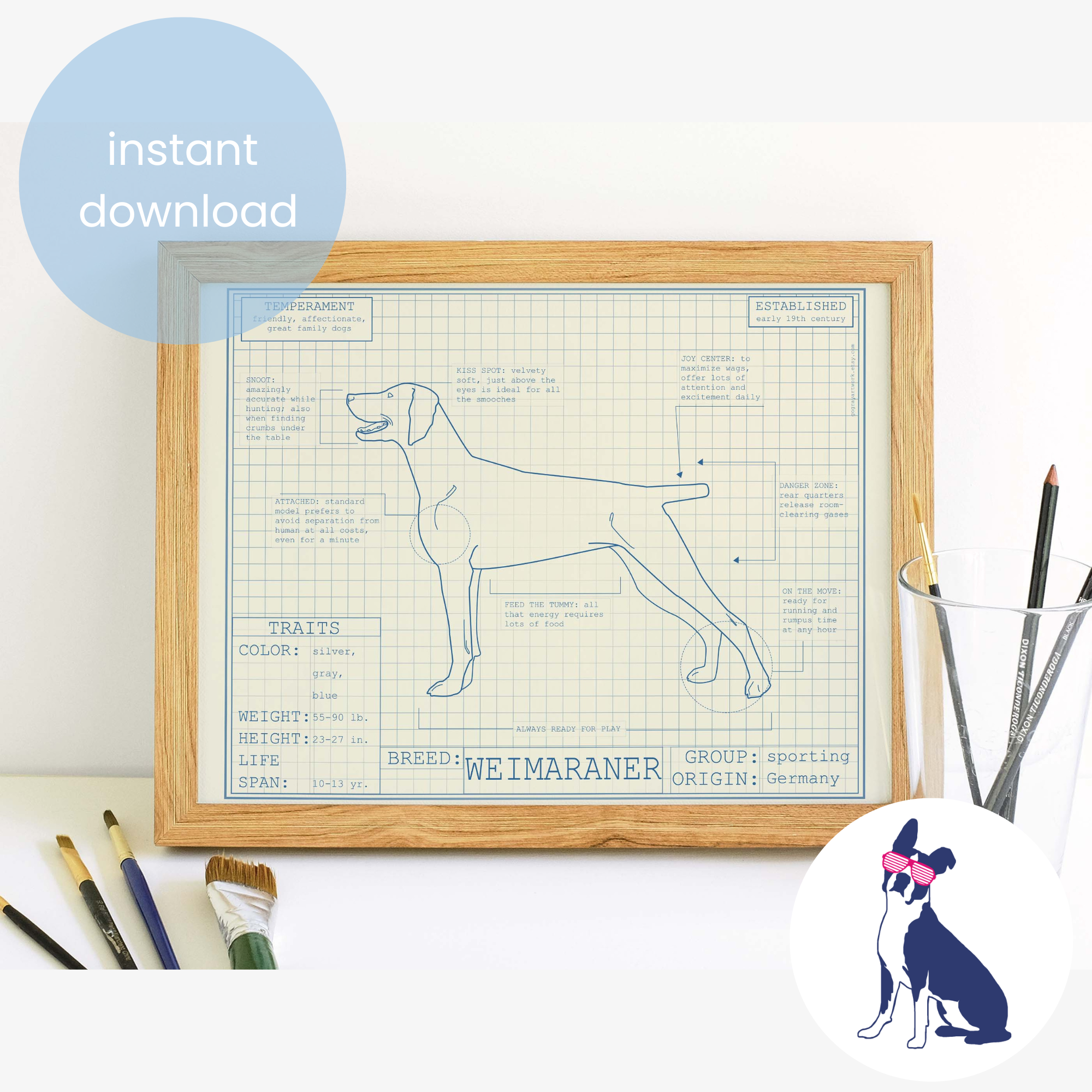 Downloadable Weimaraner dog breed blueprint artwork