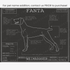 Downloadable Weimaraner dog breed blueprint artwork