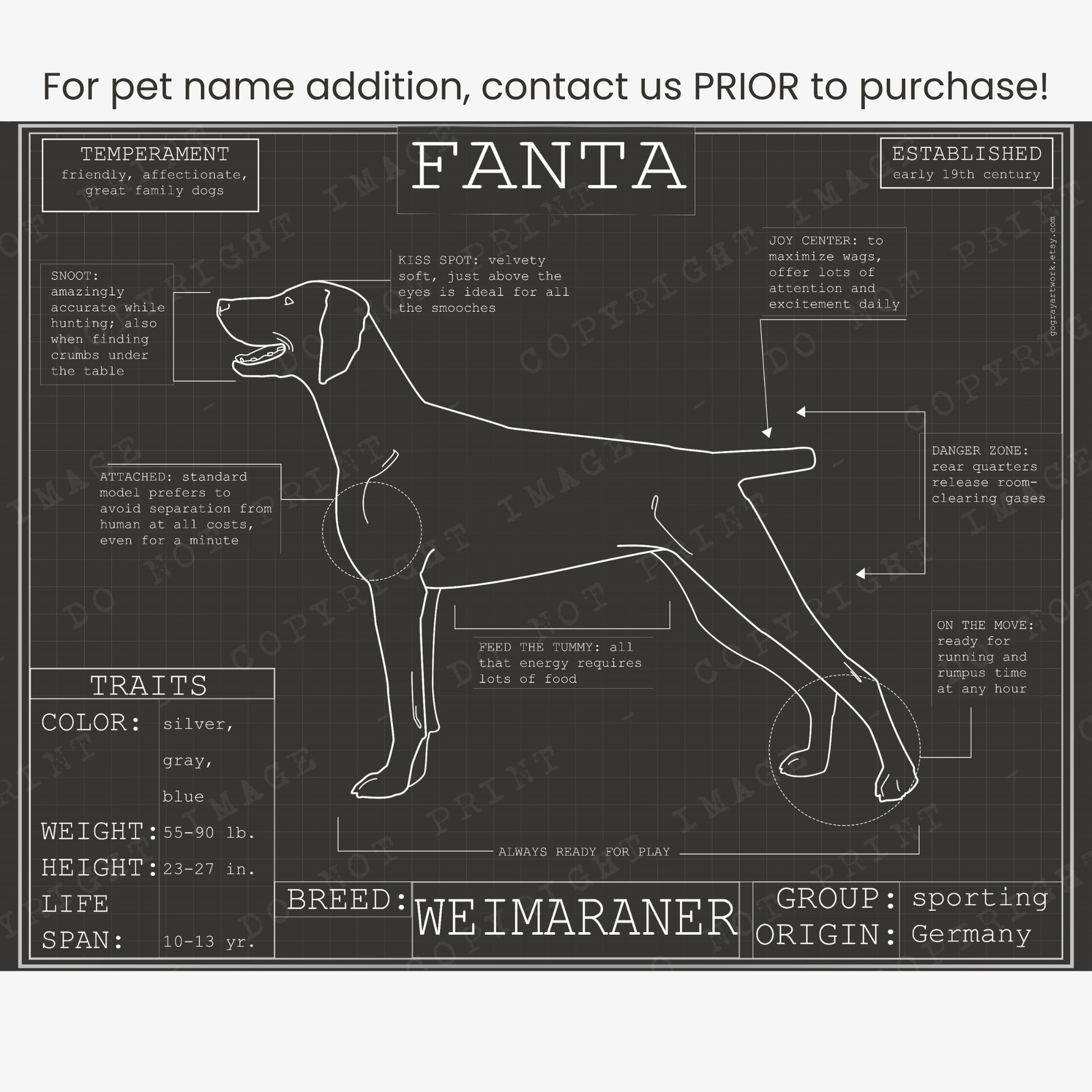 Downloadable Weimaraner dog breed blueprint artwork