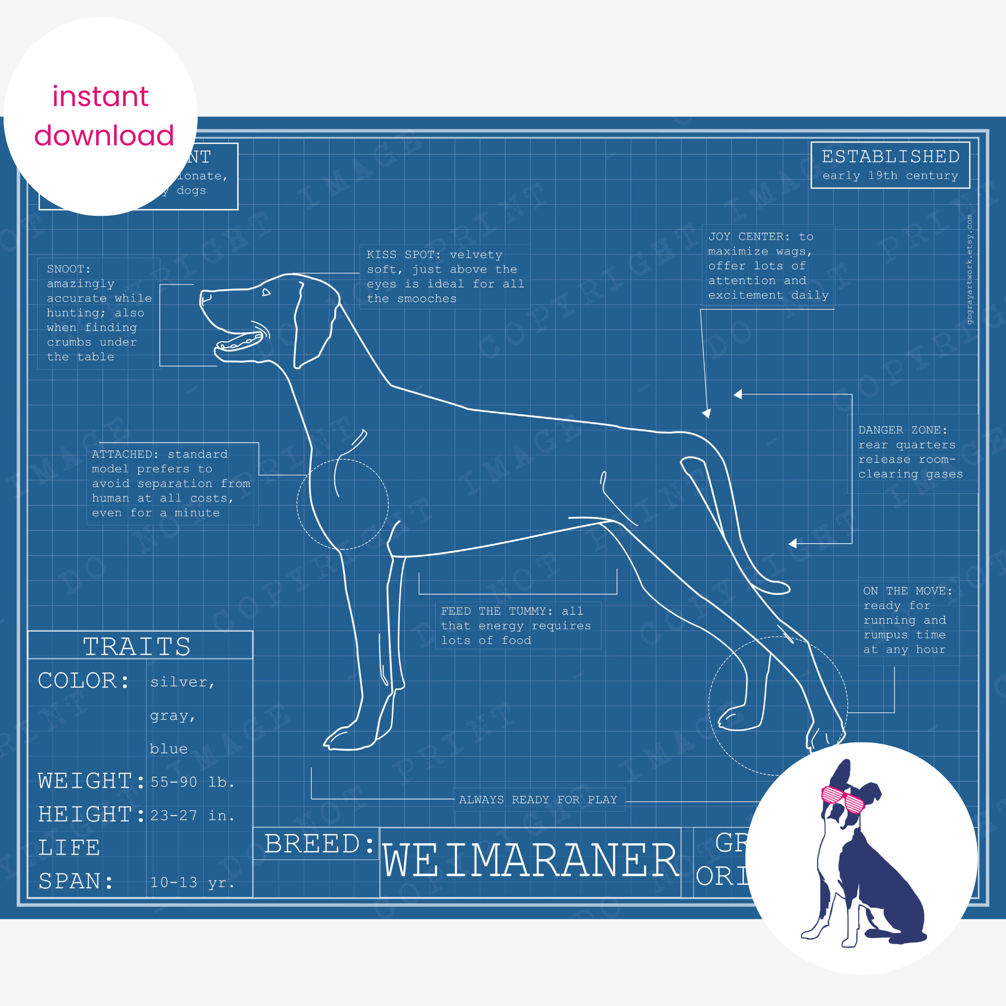 Downloadable Weimaraner dog breed blueprint artwork