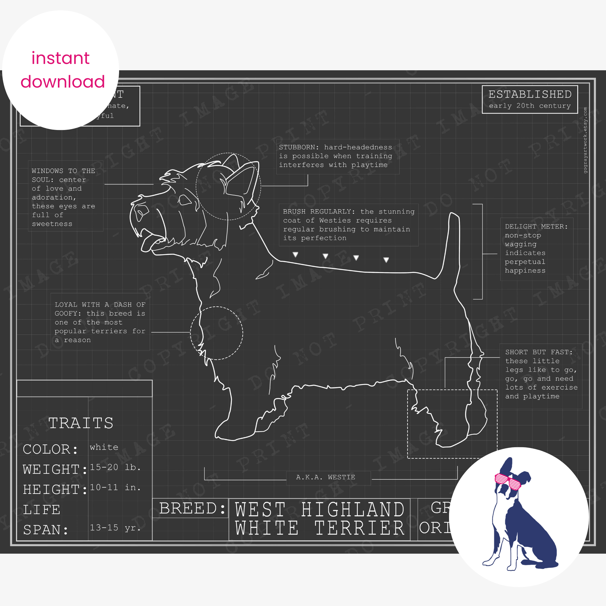 Downloadable West Highland Terrier dog breed blueprint artwork