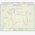 Downloadable West Highland Terrier dog breed blueprint artwork