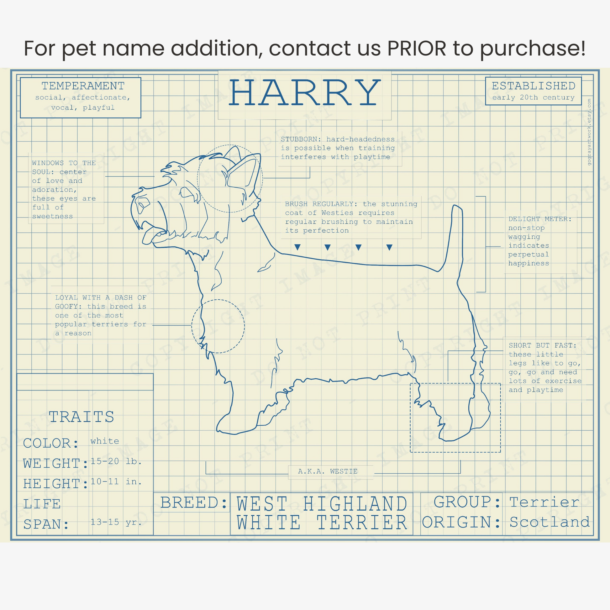 Downloadable West Highland Terrier dog breed blueprint artwork
