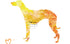 Colorful whippet greyhound silhouette art print