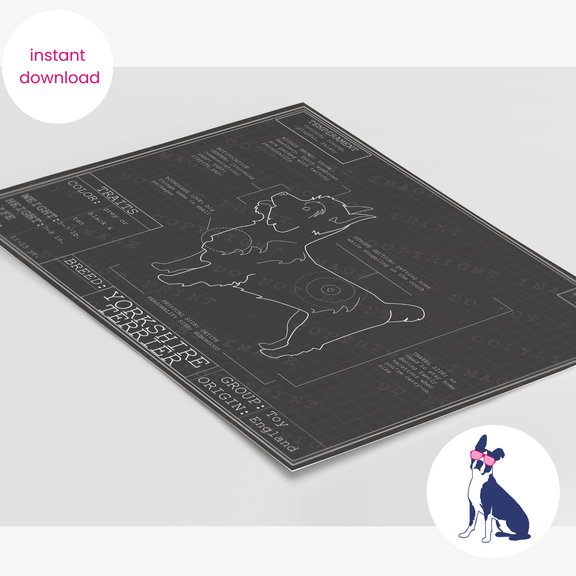 Downloadable Yorkshire Terrier dog breed blueprint artwork