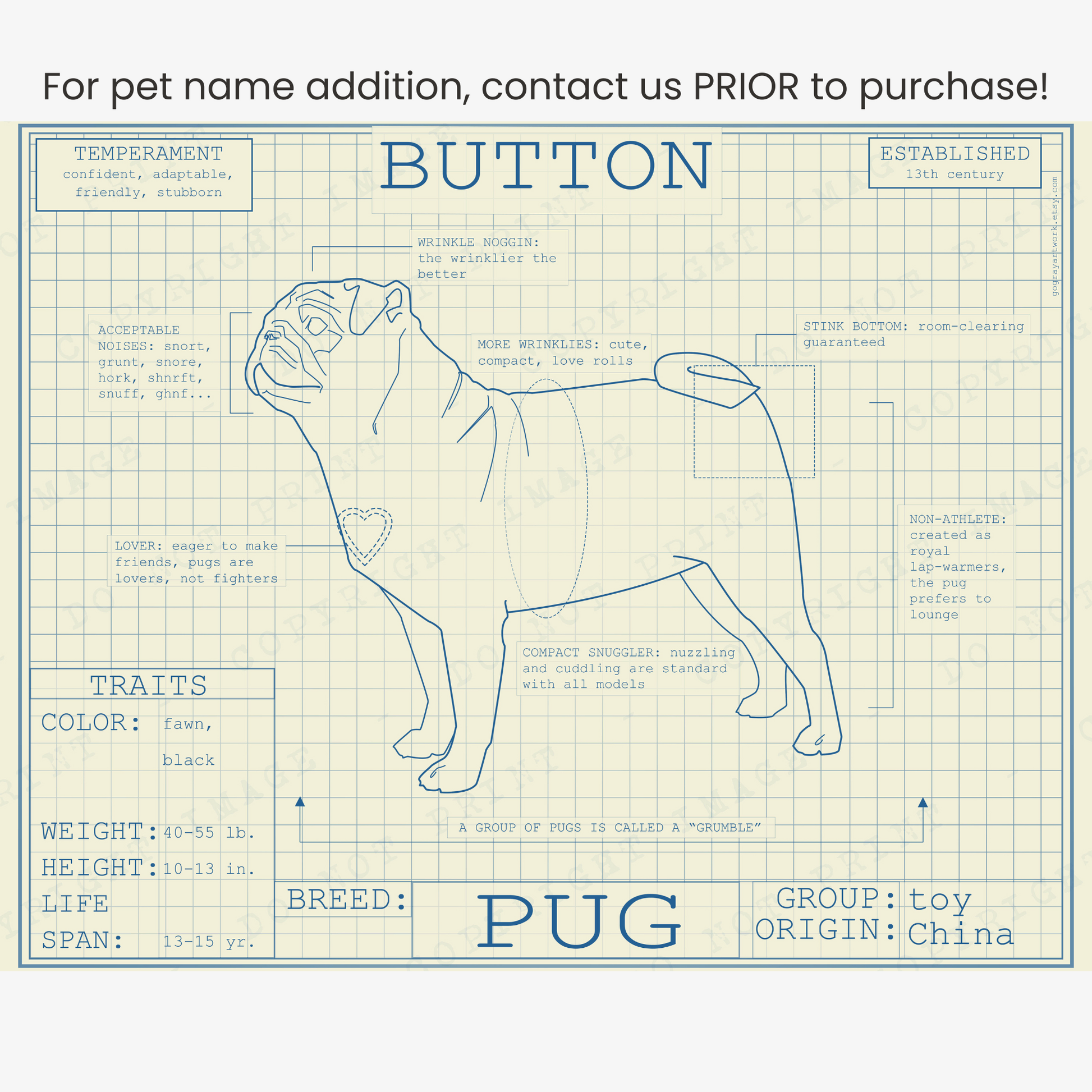 Downloadable pug dog breed blueprint artwork